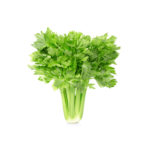 Celery