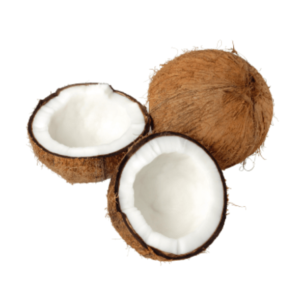 coconut